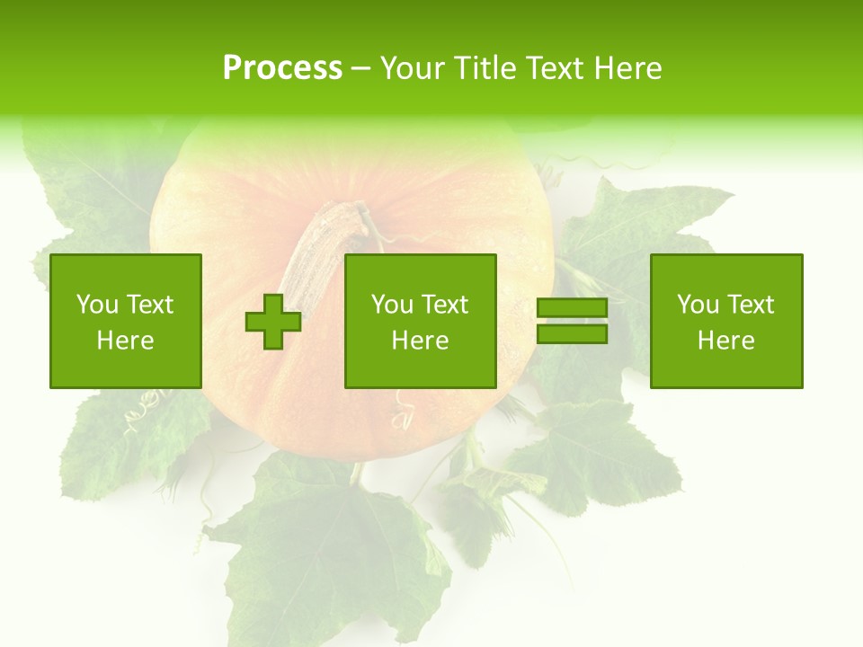 Blossom White Mirroring PowerPoint Template