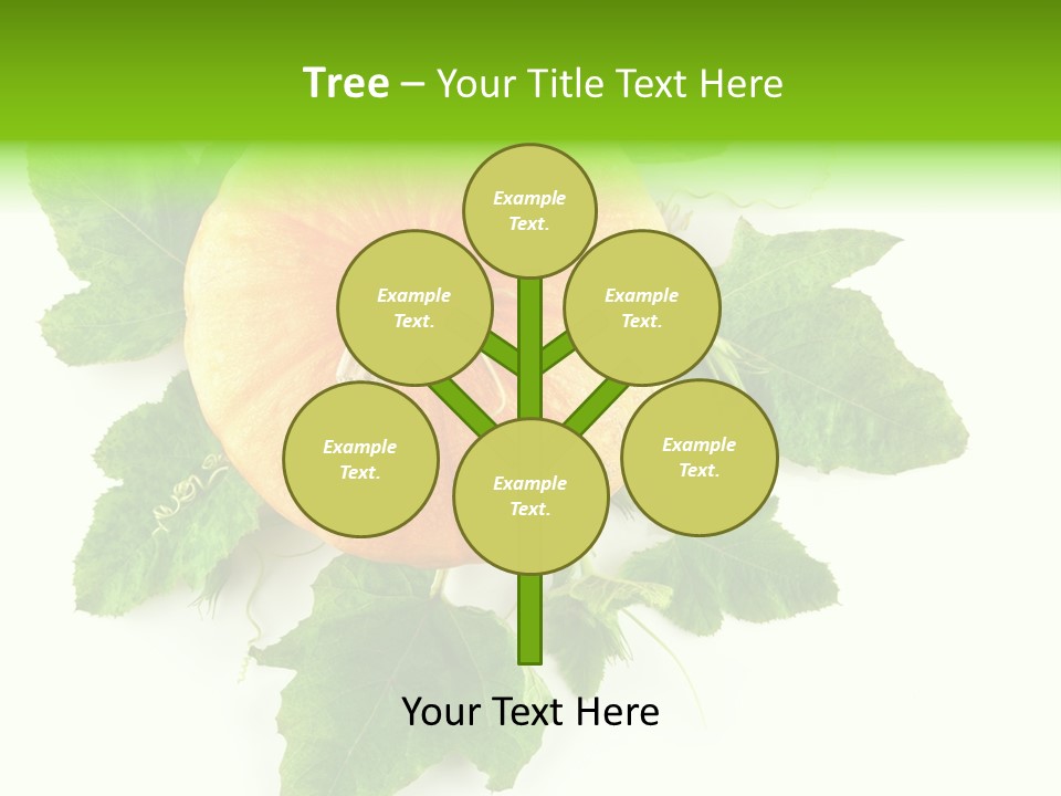 Blossom White Mirroring PowerPoint Template