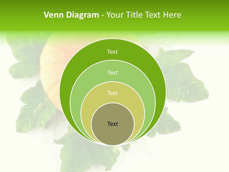 Blossom White Mirroring PowerPoint Template