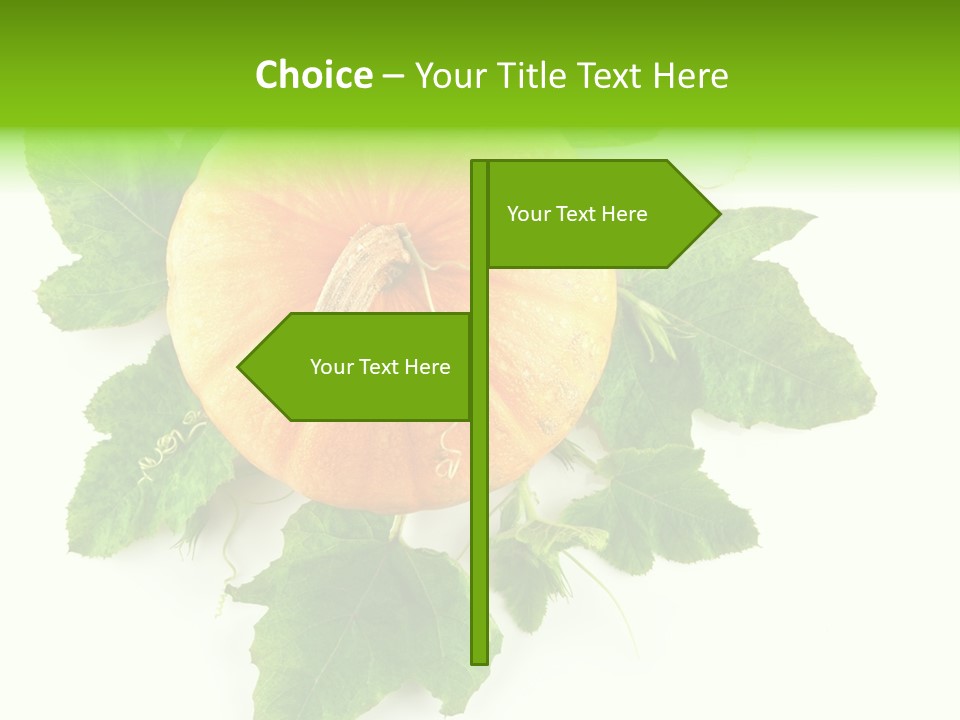 Blossom White Mirroring PowerPoint Template