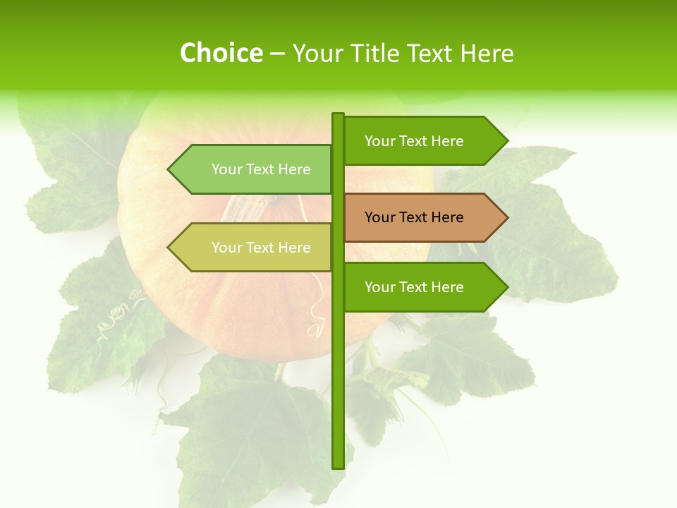 Blossom White Mirroring PowerPoint Template