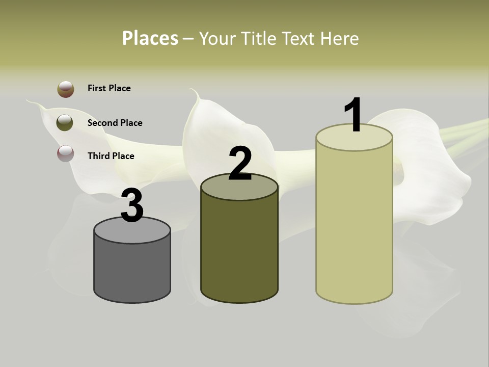 Blossom White Mirroring PowerPoint Template