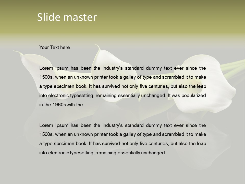 Blossom White Mirroring PowerPoint Template