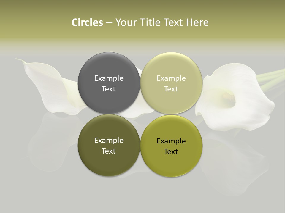 Blossom White Mirroring PowerPoint Template