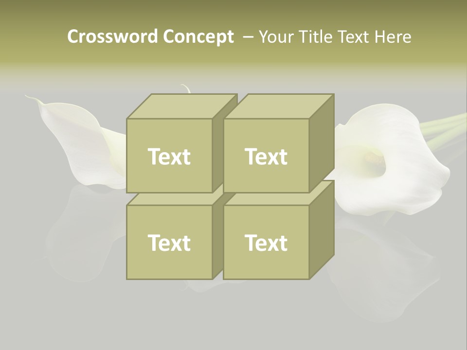 Blossom White Mirroring PowerPoint Template