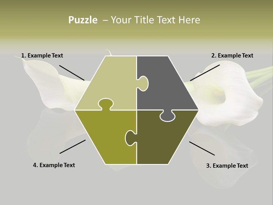 Blossom White Mirroring PowerPoint Template