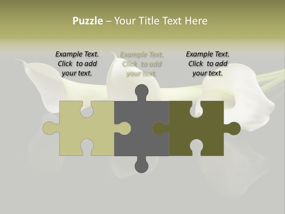 Blossom White Mirroring PowerPoint Template