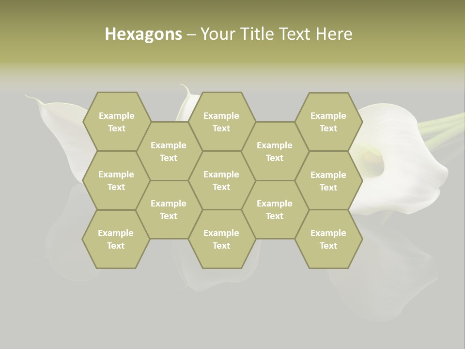 Blossom White Mirroring PowerPoint Template