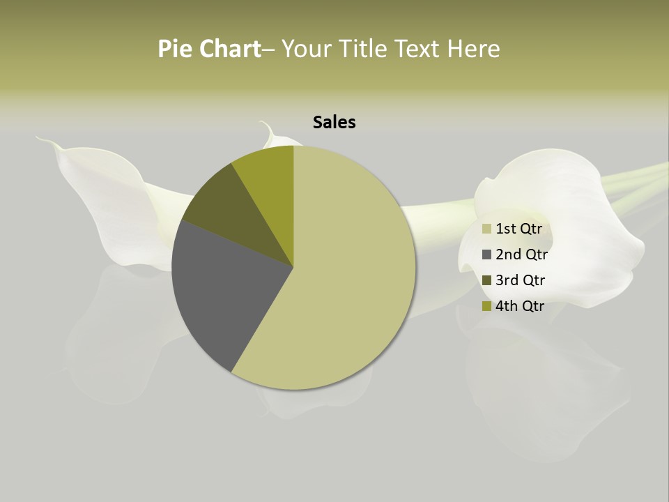 Blossom White Mirroring PowerPoint Template