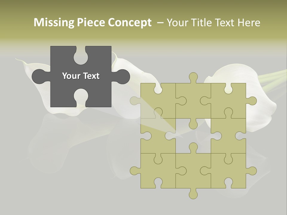 Blossom White Mirroring PowerPoint Template