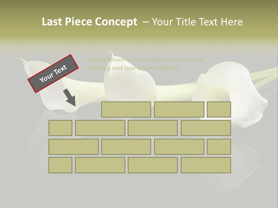 Blossom White Mirroring PowerPoint Template