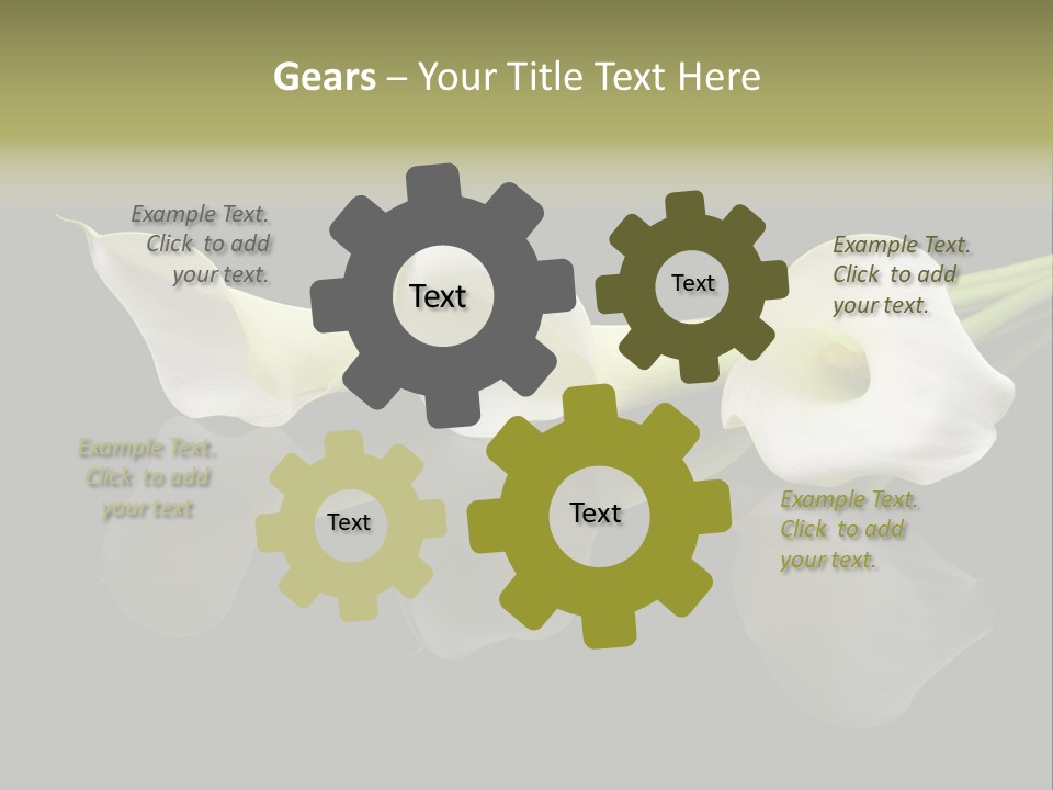 Blossom White Mirroring PowerPoint Template