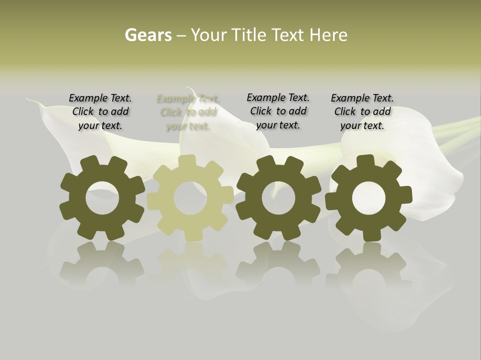 Blossom White Mirroring PowerPoint Template