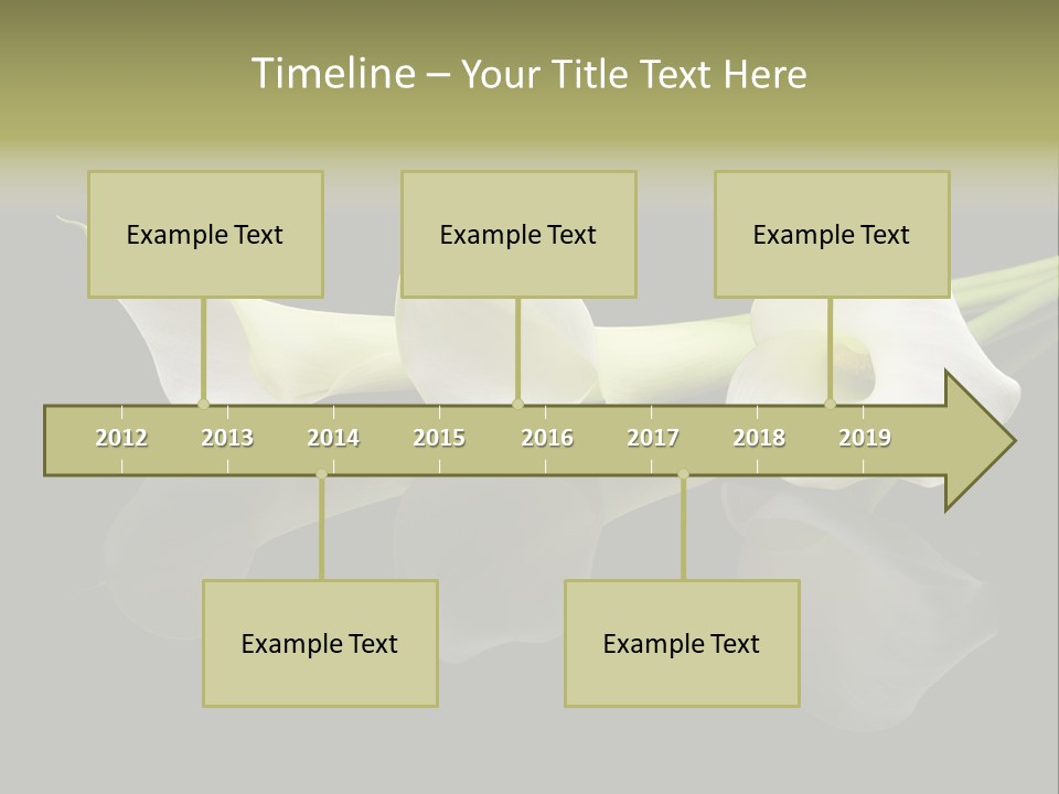 Blossom White Mirroring PowerPoint Template