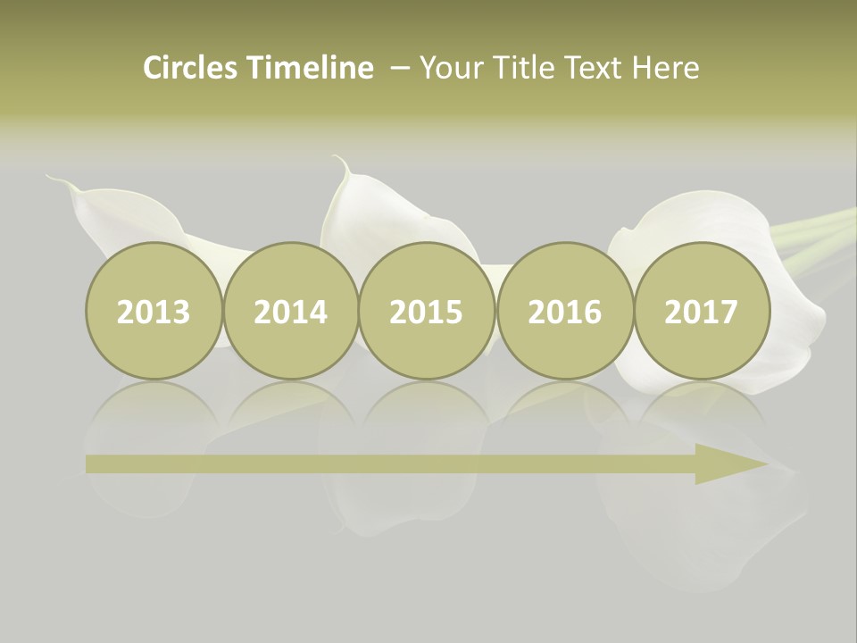 Blossom White Mirroring PowerPoint Template