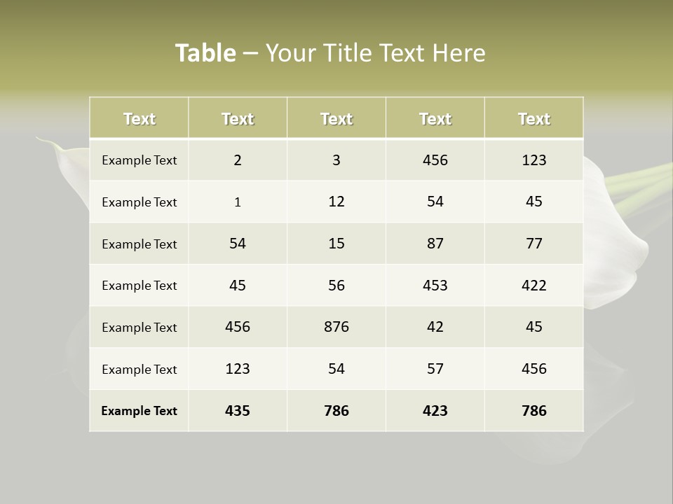 Blossom White Mirroring PowerPoint Template