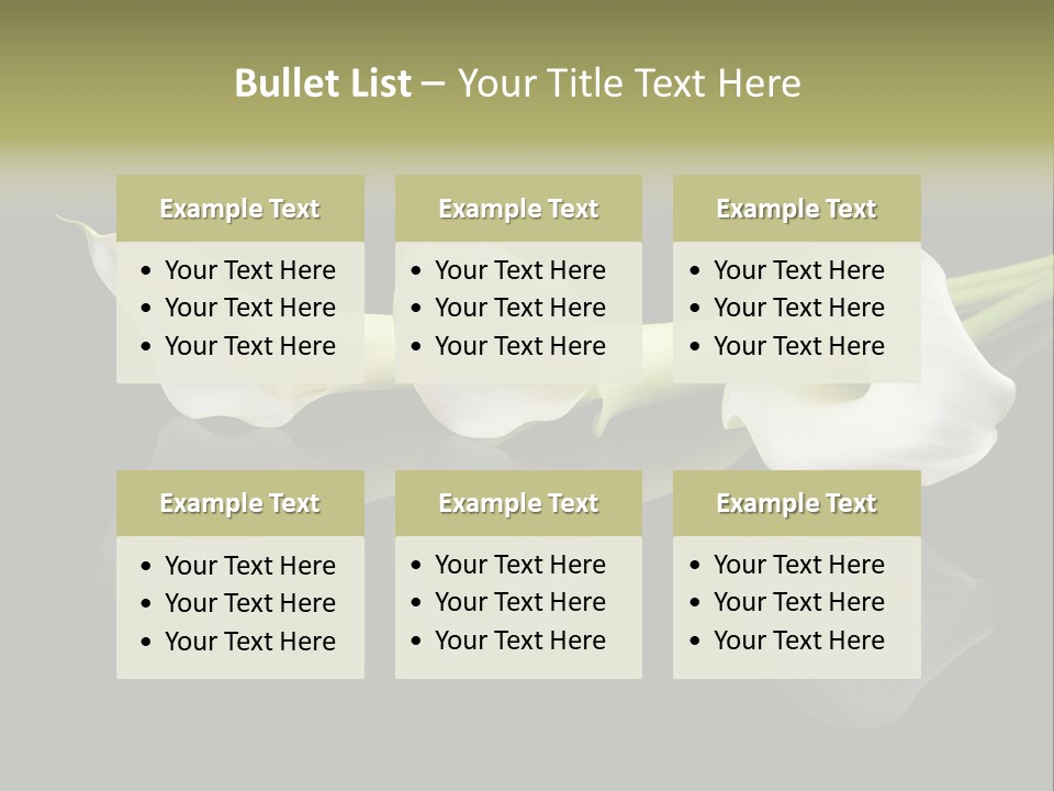 Blossom White Mirroring PowerPoint Template