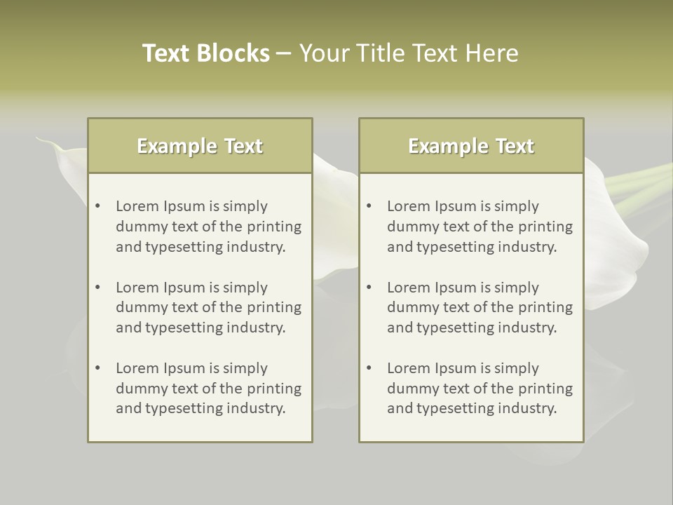 Blossom White Mirroring PowerPoint Template