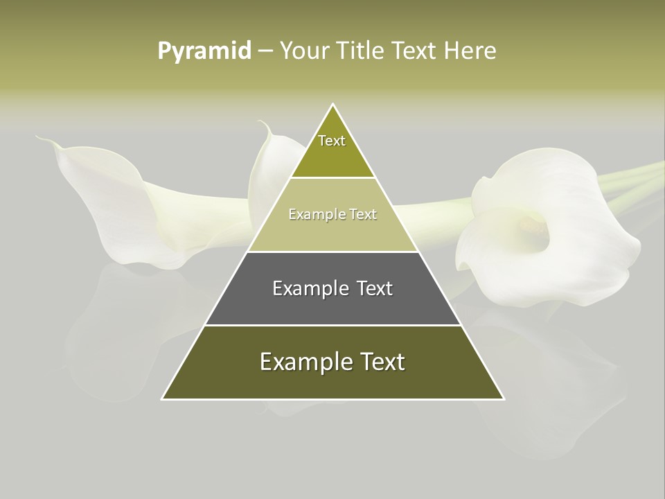 Blossom White Mirroring PowerPoint Template