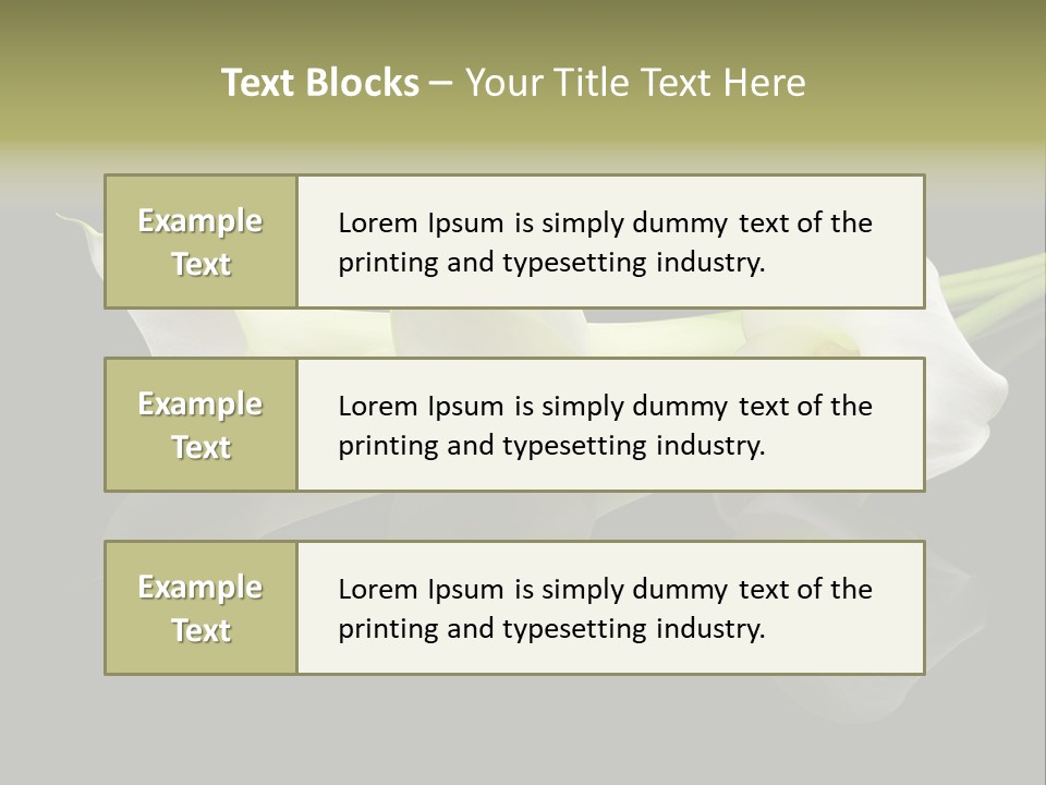 Blossom White Mirroring PowerPoint Template