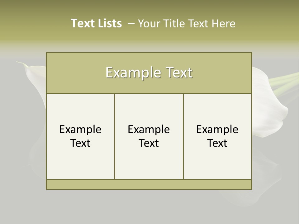 Blossom White Mirroring PowerPoint Template