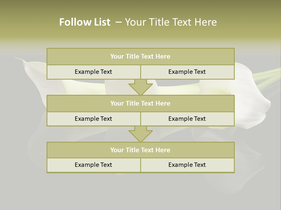 Blossom White Mirroring PowerPoint Template