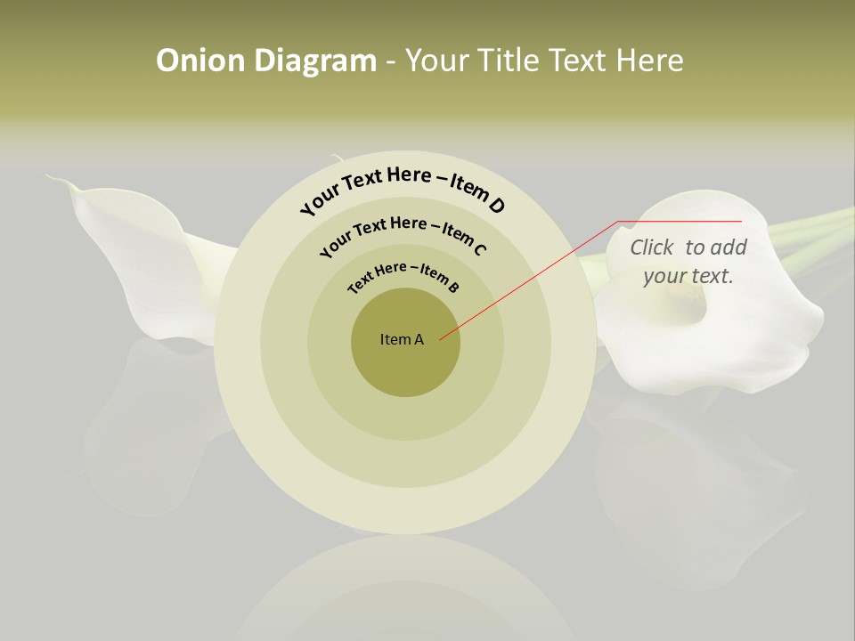 Blossom White Mirroring PowerPoint Template