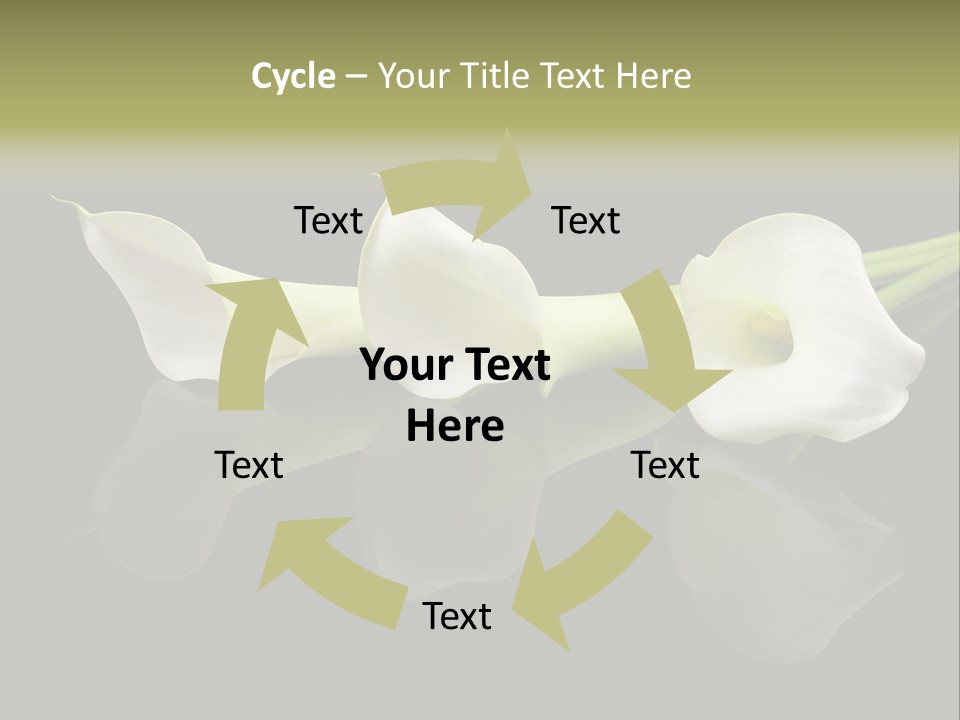 Blossom White Mirroring PowerPoint Template