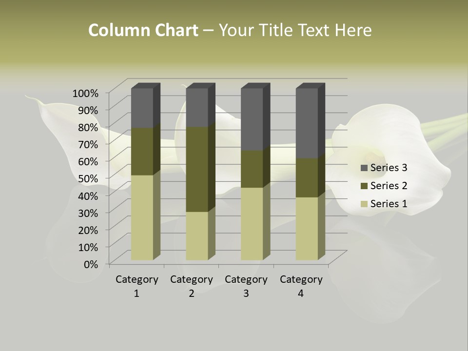 Blossom White Mirroring PowerPoint Template