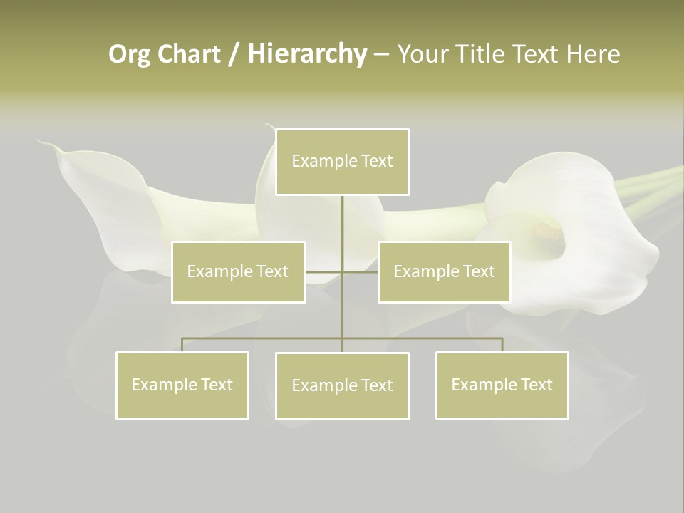 Blossom White Mirroring PowerPoint Template