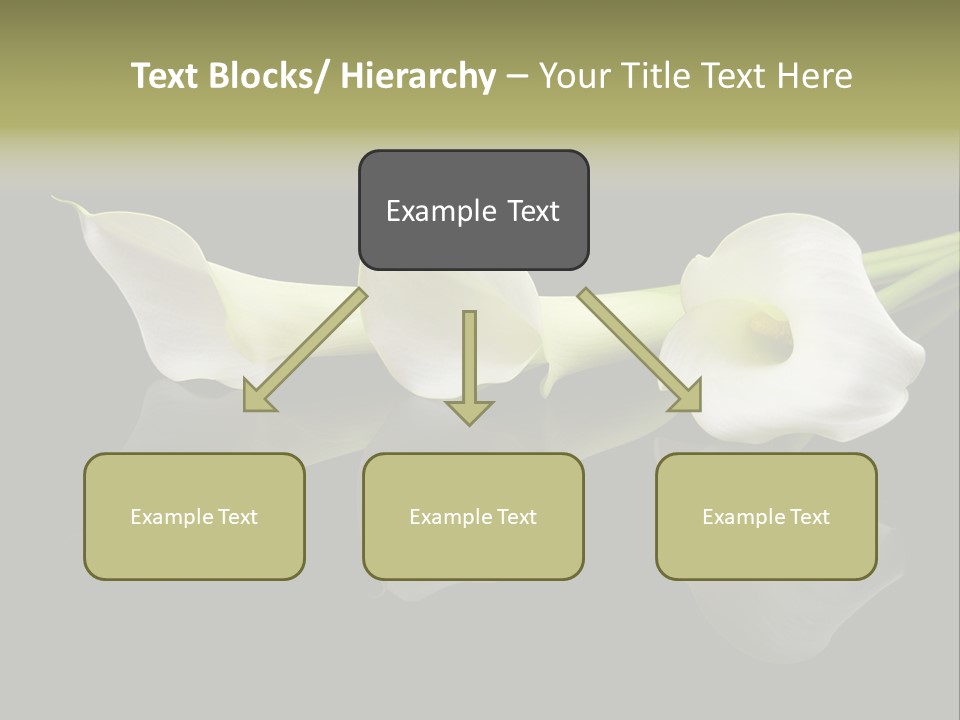 Blossom White Mirroring PowerPoint Template