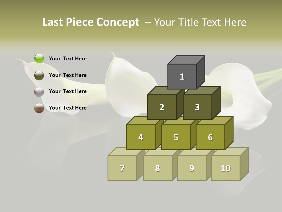 Blossom White Mirroring PowerPoint Template