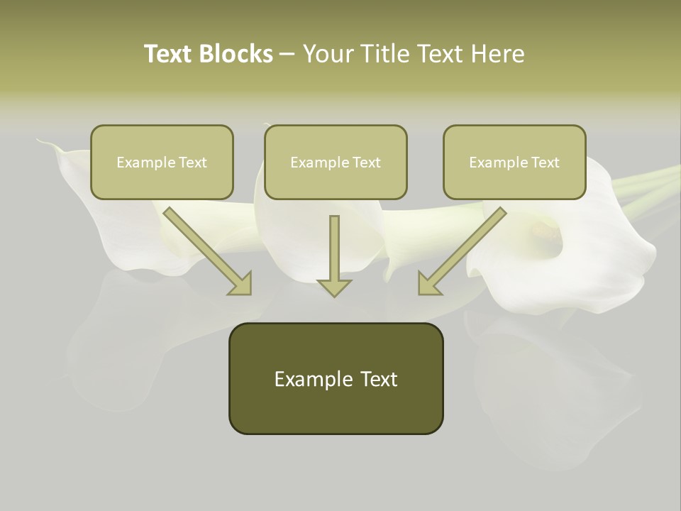Blossom White Mirroring PowerPoint Template
