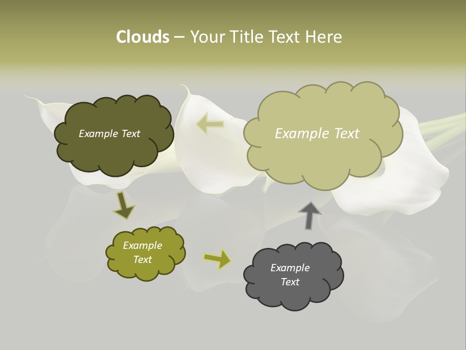 Blossom White Mirroring PowerPoint Template