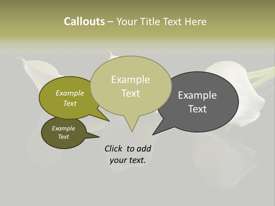 Blossom White Mirroring PowerPoint Template