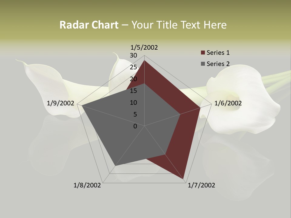 Blossom White Mirroring PowerPoint Template