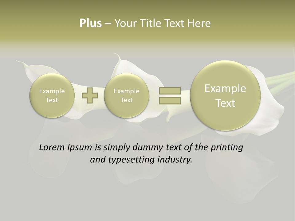 Blossom White Mirroring PowerPoint Template