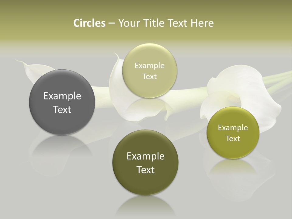 Blossom White Mirroring PowerPoint Template