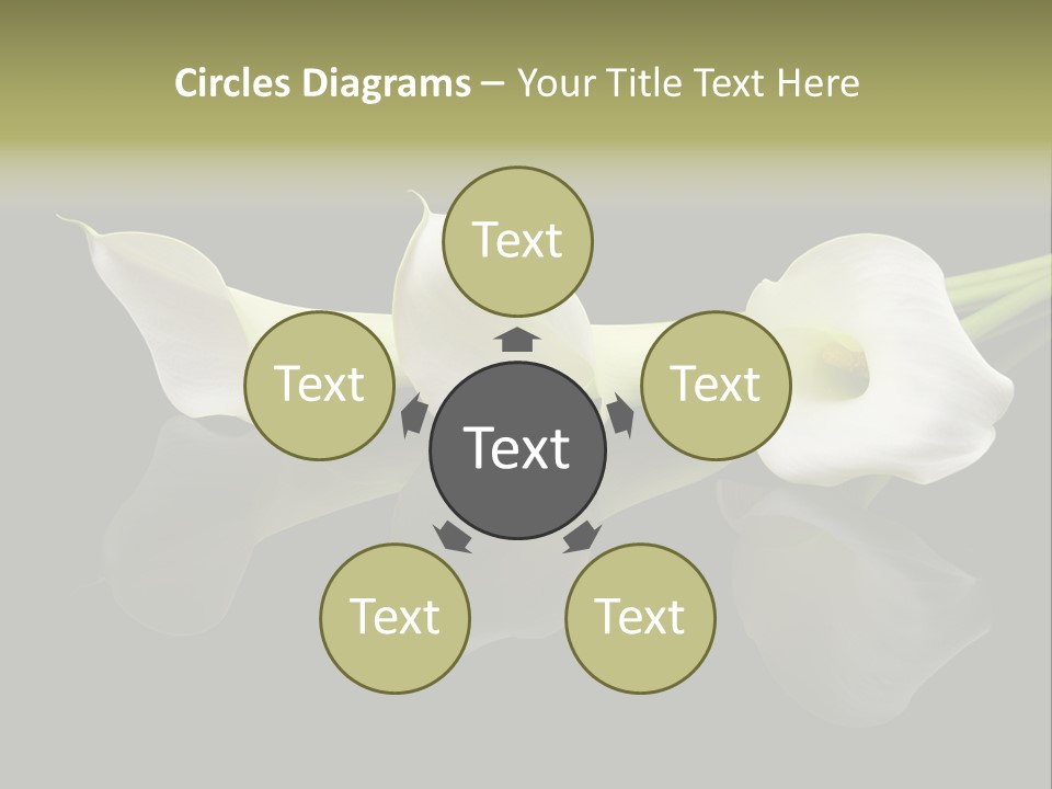 Blossom White Mirroring PowerPoint Template