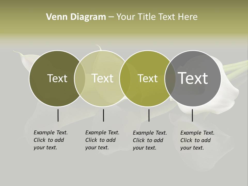 Blossom White Mirroring PowerPoint Template
