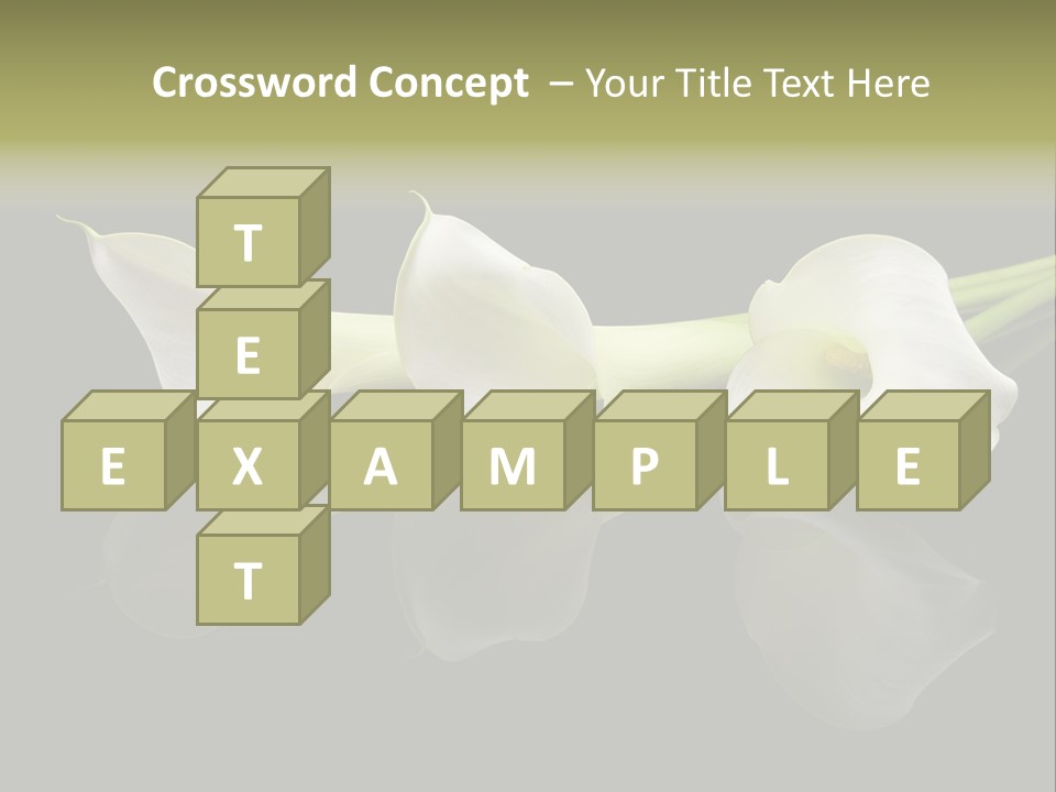 Blossom White Mirroring PowerPoint Template