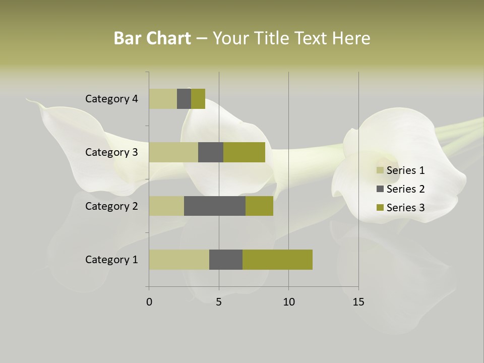 Blossom White Mirroring PowerPoint Template