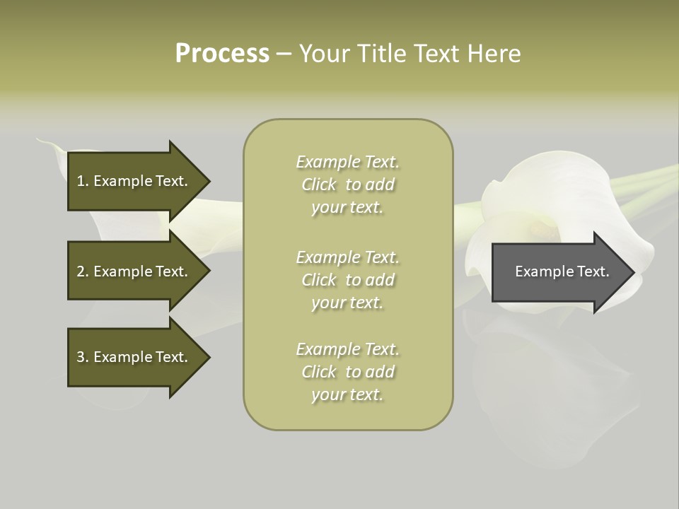 Blossom White Mirroring PowerPoint Template