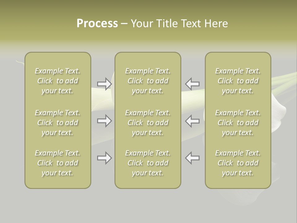 Blossom White Mirroring PowerPoint Template