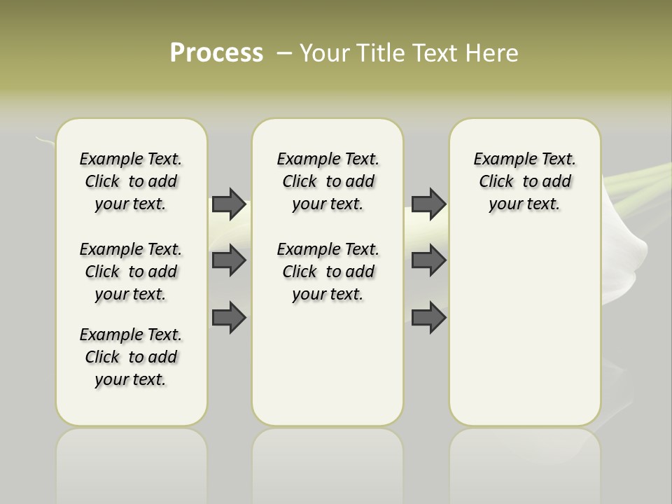 Blossom White Mirroring PowerPoint Template