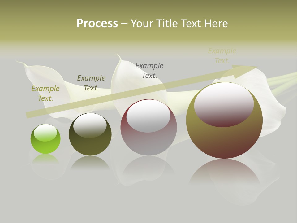 Blossom White Mirroring PowerPoint Template