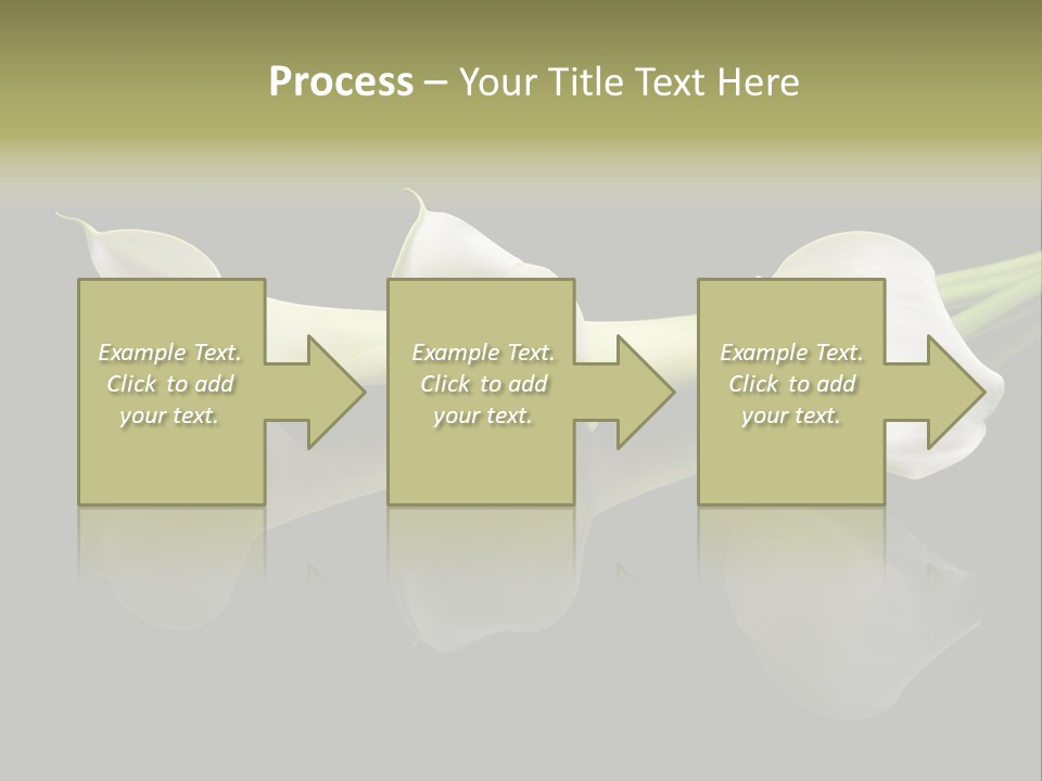 Blossom White Mirroring PowerPoint Template