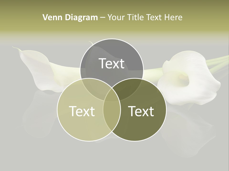 Blossom White Mirroring PowerPoint Template