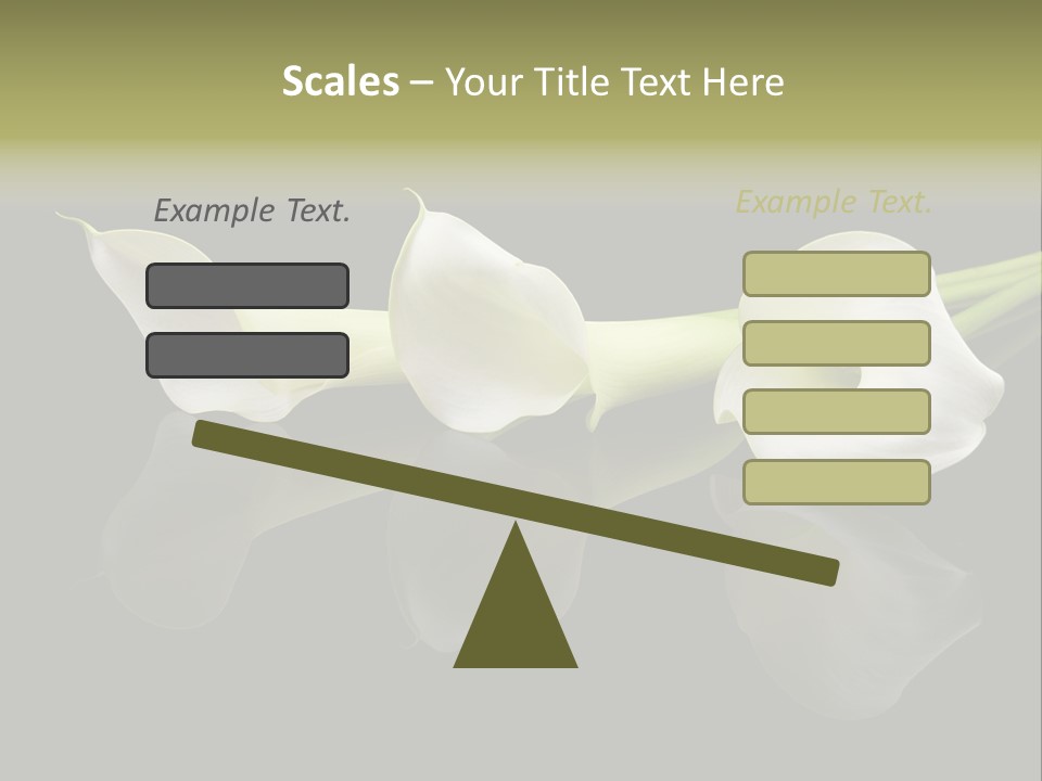 Blossom White Mirroring PowerPoint Template