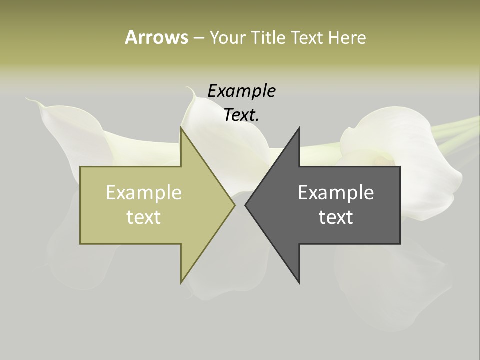 Blossom White Mirroring PowerPoint Template